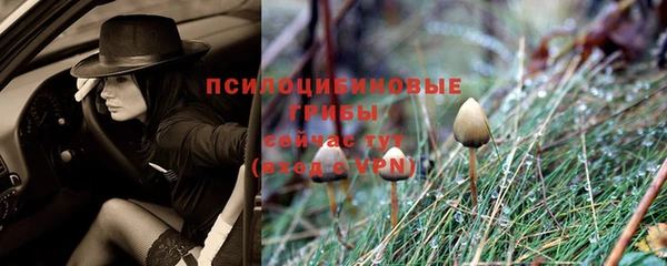 Альфа ПВП Богородицк