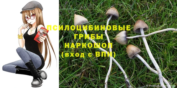 прущая мука Богородск