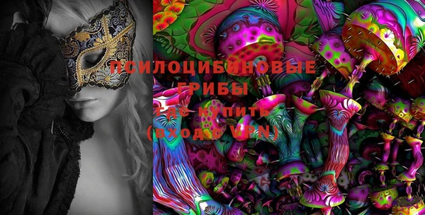 сатива Аксай