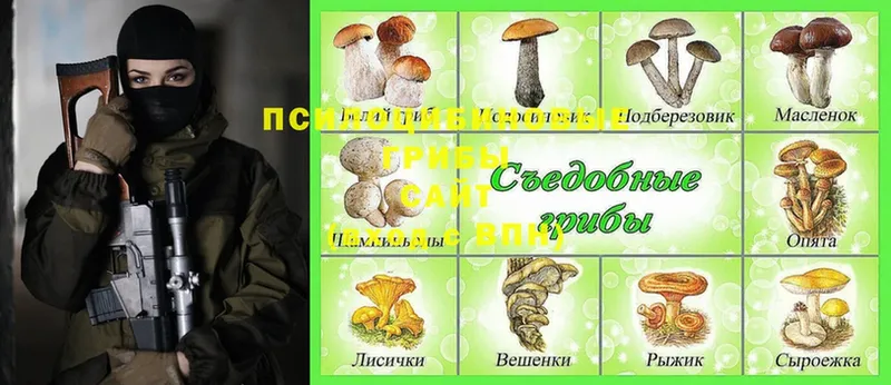 хочу   Вяземский  kraken ССЫЛКА  Псилоцибиновые грибы MAGIC MUSHROOMS 