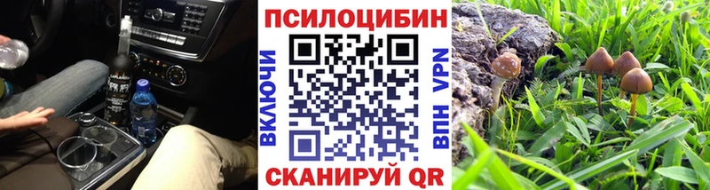 Псилоцибиновые грибы мицелий  mega рабочий сайт  Вяземский 